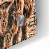 Highland Cow Farmhouse Wall Art – Rustic Country Style Decor Print