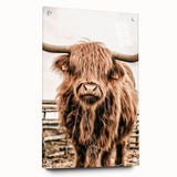 Highland Cow Farmhouse Wall Art – Rustic Country Style Decor Print