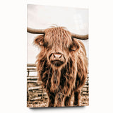 Highland Cow Farmhouse Wall Art – Rustic Country Style Decor Print