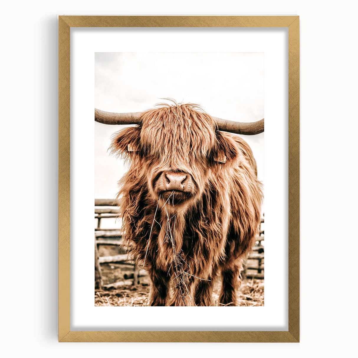 Highland Cow Farmhouse Wall Art – Rustic Country Style Decor Print