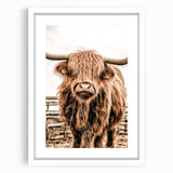 Highland Cow Farmhouse Wall Art – Rustic Country Style Decor Print