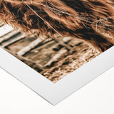 Highland Cow Farmhouse Wall Art – Rustic Country Style Decor Print