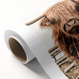 Highland Cow Farmhouse Wall Art – Rustic Country Style Decor Print