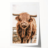 Highland Cow Farmhouse Wall Art – Rustic Country Style Decor Print
