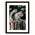 Squirrel on Tree Stump Wall Art – Rustic Farmhouse Nature Decor Print