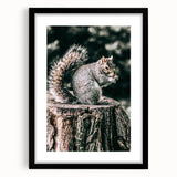 Squirrel on Tree Stump Wall Art – Rustic Farmhouse Nature Decor Print