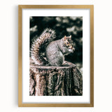Squirrel on Tree Stump Wall Art – Rustic Farmhouse Nature Decor Print