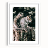 Squirrel on Tree Stump Wall Art – Rustic Farmhouse Nature Decor Print