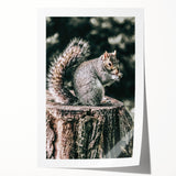 Squirrel on Tree Stump Wall Art – Rustic Farmhouse Nature Decor Print
