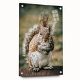 Charming Squirrel Wall Art – Rustic Farmhouse Nature-Inspired Decor