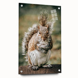 Charming Squirrel Wall Art – Rustic Farmhouse Nature-Inspired Decor