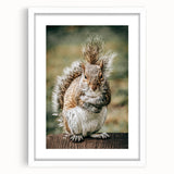 Charming Squirrel Wall Art – Rustic Farmhouse Nature-Inspired Decor