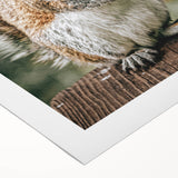 Charming Squirrel Wall Art – Rustic Farmhouse Nature-Inspired Decor