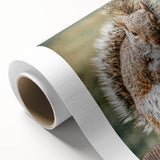 Charming Squirrel Wall Art – Rustic Farmhouse Nature-Inspired Decor