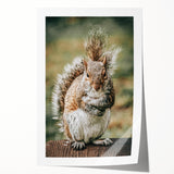Charming Squirrel Wall Art – Rustic Farmhouse Nature-Inspired Decor