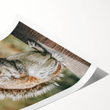 Charming Squirrel Wall Art – Rustic Farmhouse Nature-Inspired Decor