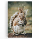 Charming Squirrel Wall Art – Rustic Farmhouse Nature-Inspired Decor