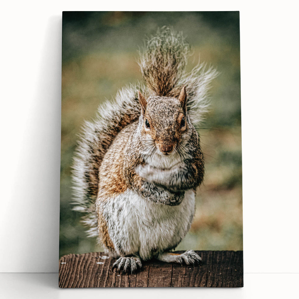 Charming Squirrel Wall Art – Rustic Farmhouse Nature-Inspired Decor