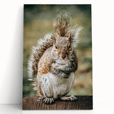 Charming Squirrel Wall Art – Rustic Farmhouse Nature-Inspired Decor