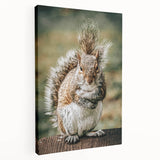 Charming Squirrel Wall Art – Rustic Farmhouse Nature-Inspired Decor