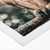 Majestic Owl Wall Art – Rustic Farmhouse Nature-Inspired Decor Print