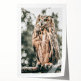 Majestic Owl Wall Art – Rustic Farmhouse Nature-Inspired Decor Print