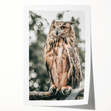 Majestic Owl Wall Art – Rustic Farmhouse Nature-Inspired Decor Print