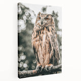 Majestic Owl Wall Art – Rustic Farmhouse Nature-Inspired Decor Print