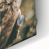 Barn Owl Wall Art – Rustic Farmhouse Nature-Inspired Decor Print