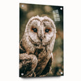 Barn Owl Wall Art – Rustic Farmhouse Nature-Inspired Decor Print