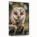 Barn Owl Wall Art – Rustic Farmhouse Nature-Inspired Decor Print