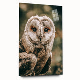 Barn Owl Wall Art – Rustic Farmhouse Nature-Inspired Decor Print