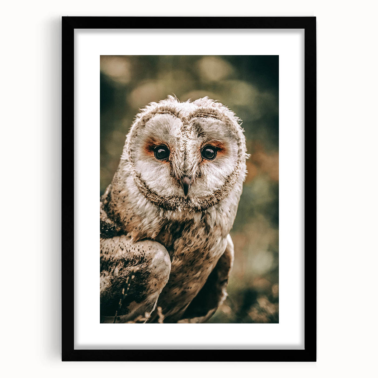 Barn Owl Wall Art – Rustic Farmhouse Nature-Inspired Decor Print