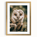 Barn Owl Wall Art – Rustic Farmhouse Nature-Inspired Decor Print
