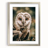 Barn Owl Wall Art – Rustic Farmhouse Nature-Inspired Decor Print