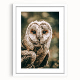 Barn Owl Wall Art – Rustic Farmhouse Nature-Inspired Decor Print