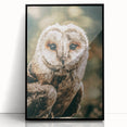 Barn Owl Wall Art – Rustic Farmhouse Nature-Inspired Decor Print
