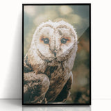 Barn Owl Wall Art – Rustic Farmhouse Nature-Inspired Decor Print