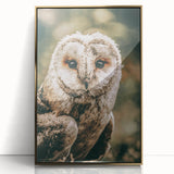 Barn Owl Wall Art – Rustic Farmhouse Nature-Inspired Decor Print
