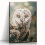 Barn Owl Wall Art – Rustic Farmhouse Nature-Inspired Decor Print