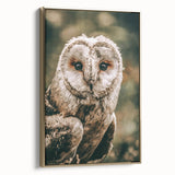 Barn Owl Wall Art – Rustic Farmhouse Nature-Inspired Decor Print