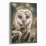 Barn Owl Wall Art – Rustic Farmhouse Nature-Inspired Decor Print