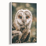 Barn Owl Wall Art – Rustic Farmhouse Nature-Inspired Decor Print