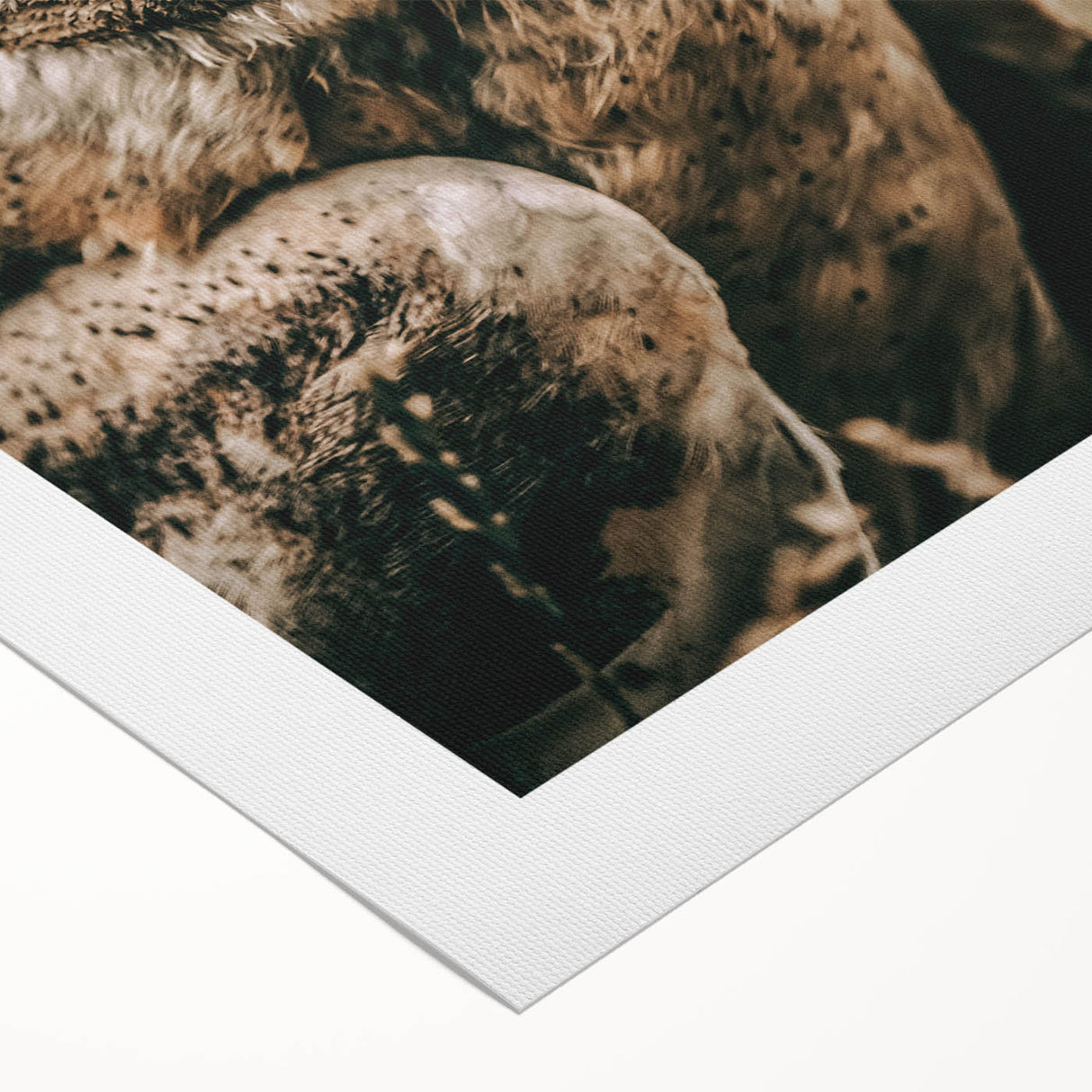 Barn Owl Wall Art – Rustic Farmhouse Nature-Inspired Decor Print