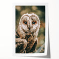 Barn Owl Wall Art – Rustic Farmhouse Nature-Inspired Decor Print