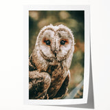 Barn Owl Wall Art – Rustic Farmhouse Nature-Inspired Decor Print