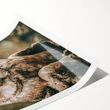 Barn Owl Wall Art – Rustic Farmhouse Nature-Inspired Decor Print