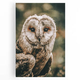 Barn Owl Wall Art – Rustic Farmhouse Nature-Inspired Decor Print