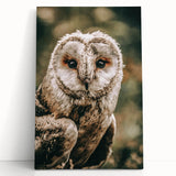 Barn Owl Wall Art – Rustic Farmhouse Nature-Inspired Decor Print