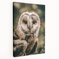 Barn Owl Wall Art – Rustic Farmhouse Nature-Inspired Decor Print